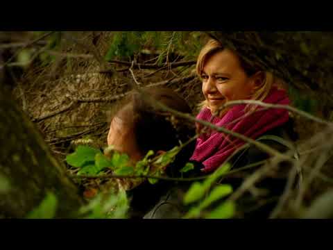 Gasztroangyal 7. rész – Pisztráng (2011)