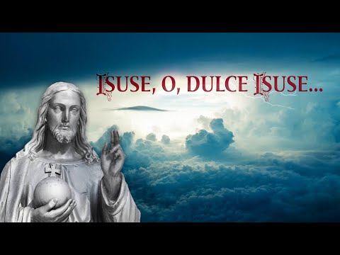 Isuse o dulce Isuse - fr. Petrica Sascau | negative catolice