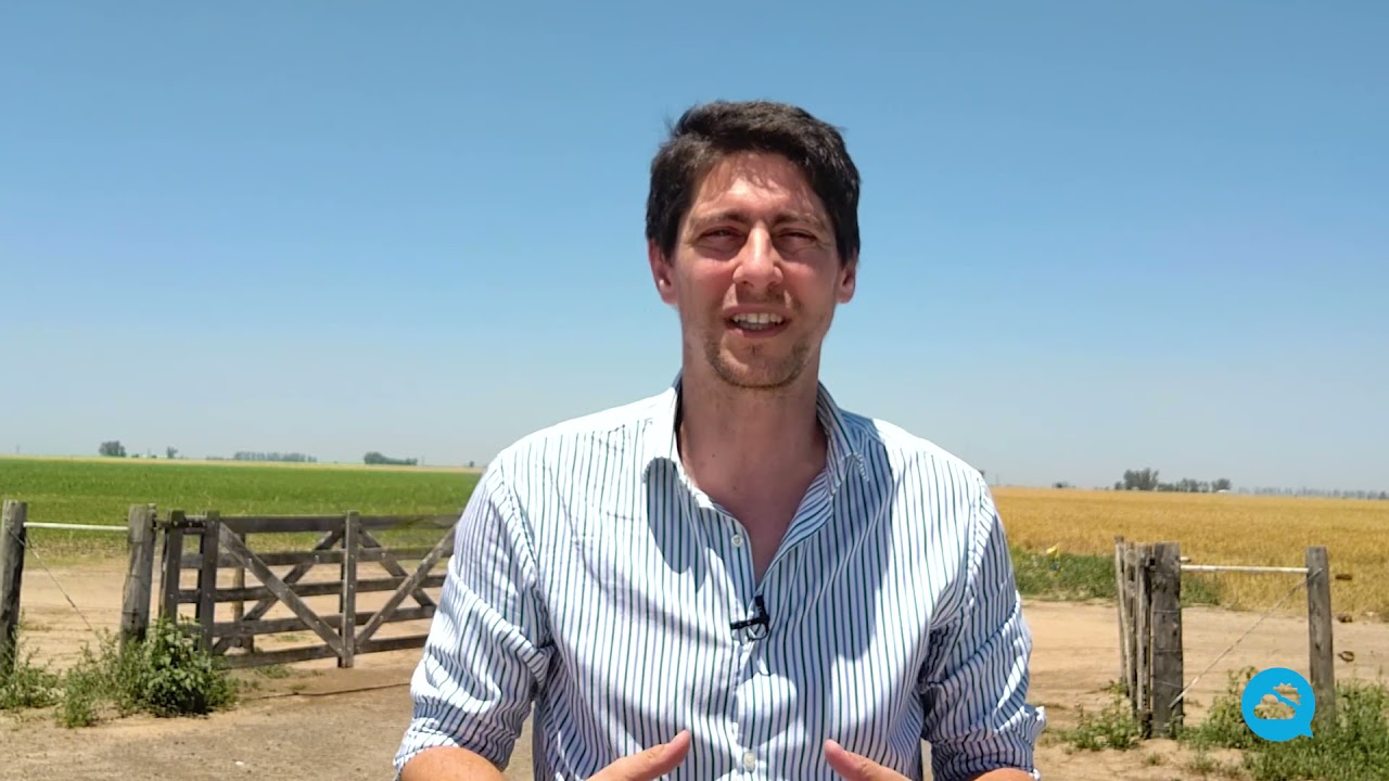 youtube video id=RevCCQxOTR0