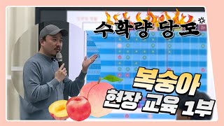 복숭아 현장 교육 1부! 수확량 당도 높이려면 비료 이렇게 주셔야 합니다. | 농사 100단