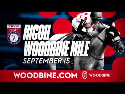 2018 | Ricoh Woodbine Mile - Saturday September 15