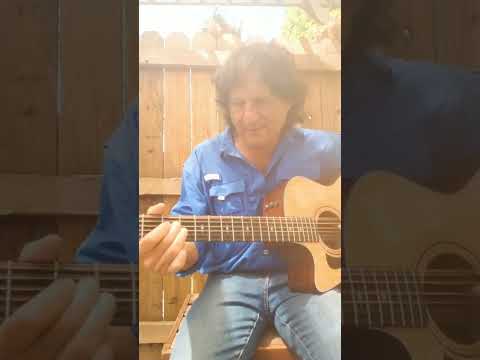 Taylor 356ce 12-string with Sound expression System - Natural image 6