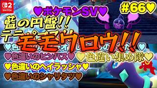 【♡Part66♡4K♡Nintendo Switch 2 俺のファンのコからのリクエスト配信】ポケットモンスター スカーレット ゼロの秘宝 藍の円盤をまったり巣ごもり生配信♡愛してる。