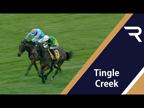 DEFI DU SEUIL fends off Un De Sceaux in an epic 2019 Betfair Tingle Creek Chase