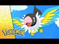 Strategy Tomorrow Comedy Tonight POKÉMON FULL EPISODE 39 Season 9
