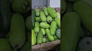 সৌদি আরবে এসব দোকান এ সব কিছু কিনতে পাওয়া যায়