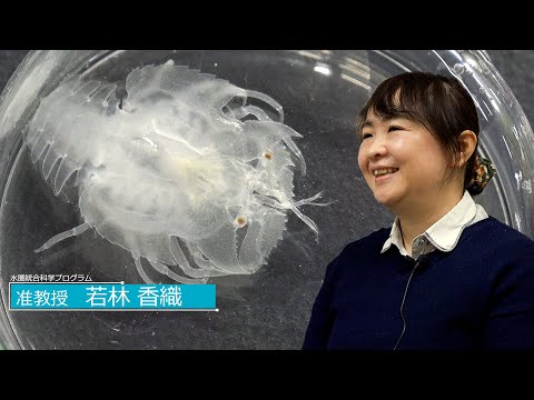 広島大学生物生産学部　教授に聞く　若林 香織 准教授