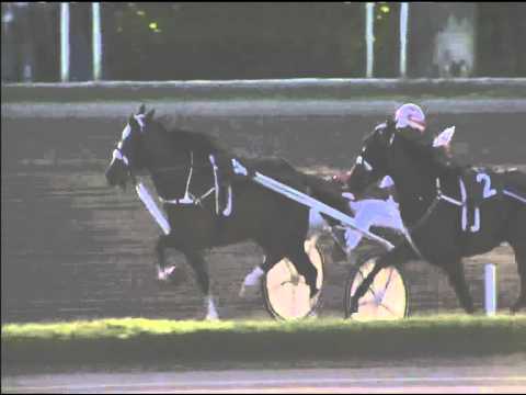 Trotto 03/05/2015 - 1° corsa minitrotter