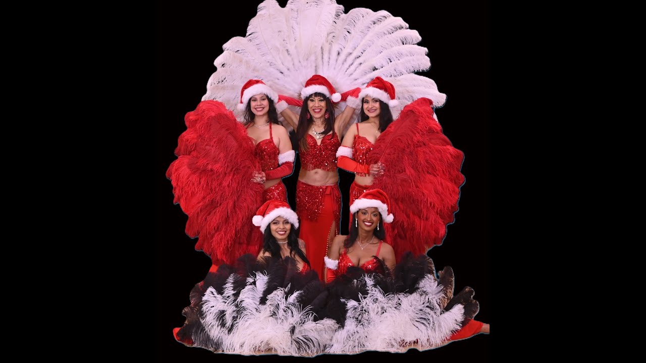 Promotional video thumbnail 3 for Authentic Belly Dancing Entertainment: Harem Jewels of Dallas