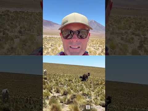 San Pedro de Atacama - Chile
