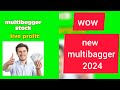 new multibagger 2024 , research report