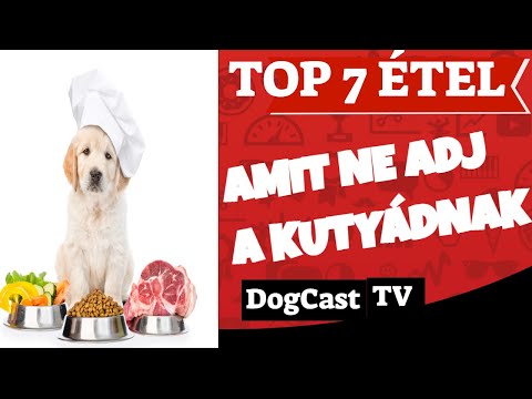 , title : 'TOP 7 étel amit ne adj a kutyádnak!  DogCast TV!'