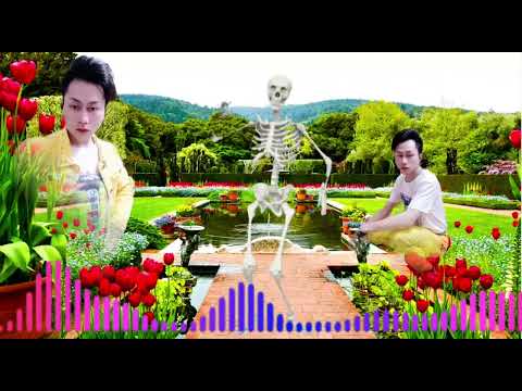 Zoov LiKus Zoo Li Koj