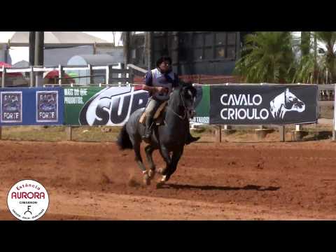 Garanhão - Hora Certa Cimarron