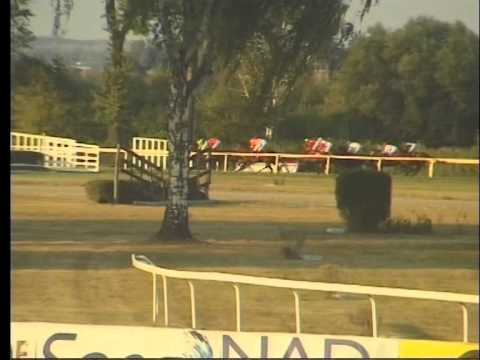 LL, 8. 8. 2015, 6. dostih - HANDICAP SPOLRČNOSTI SOLIGHT HOLDING