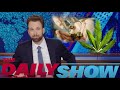 Happy 4/20 Day! | The Daily Show | Comedy Central Africa