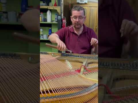 Piano String breaks on its first tune