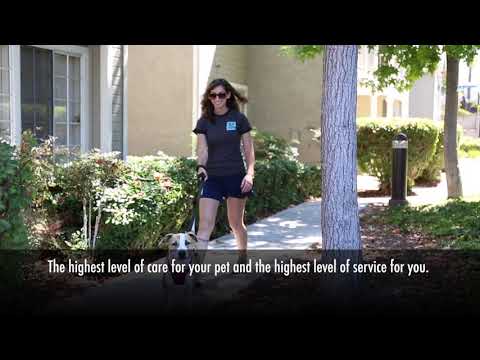 Zen Pet Sitting and Dog Walking in San Diego