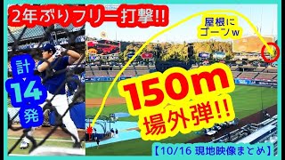 【⚾️大谷翔平 2年ぶりフリー打撃】150m場外弾に同僚どよめきｗ快音連発14本柵越え復調アピール【現地映像まとめ】（2025.10.16 Dodger Stadium）