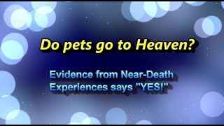 Do Pets Go To Heaven? Why, YES!