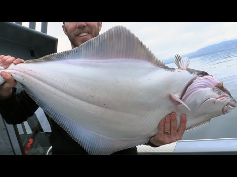 Halibut Fishing in Southeast Alaska (Ketchikan)