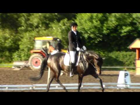 Don Amore - klasa P1