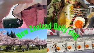 New Zealand の生活/暇な様で忙しい毎日/新しいDishwasher