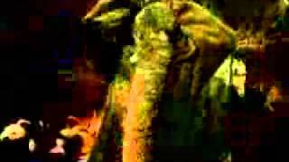 Spiderbait - Fucken Awesome