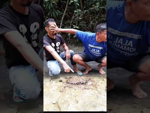 Tae ng kalabaw😭 #comedy #funny #shorts