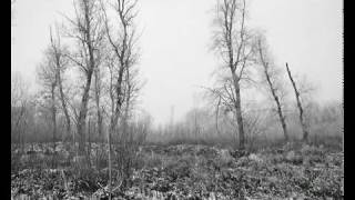 Yazoo - Winter kills     (photo by Goran Cakmazovic)