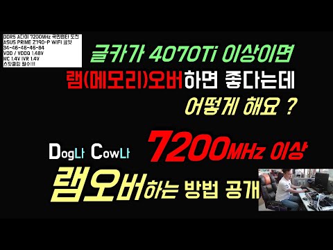 DDR5 램오버 메모리오버 어렵다구요? 저만 따라해보세요 34-46-46-46-84 DDR5 메모리 국민램오버 국민램타의 탄생 ASUS PRIME Z790-P WIFI 코잇