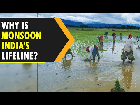 Why is India's monsoon season so crucial? | WION Originals