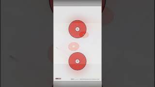 EZ2C Targets #1: Paper Shooting Targets 11”x17” USA MADE