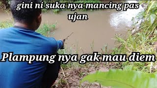 Download lagu seru nya mancing saat ,hujan rintik rintik#cacingparetofficial mp3 Download lagu seru nya mancing saat ,hujan rintik rintik#cacingparetofficial mp3