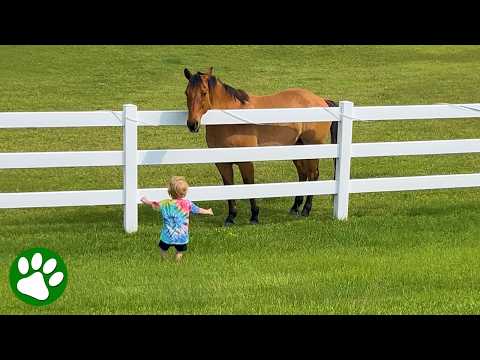 Сила детства