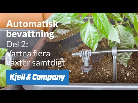 Automatisk bevattning - del 2 - Vattna flera växter samtidigt — Kjell-TV