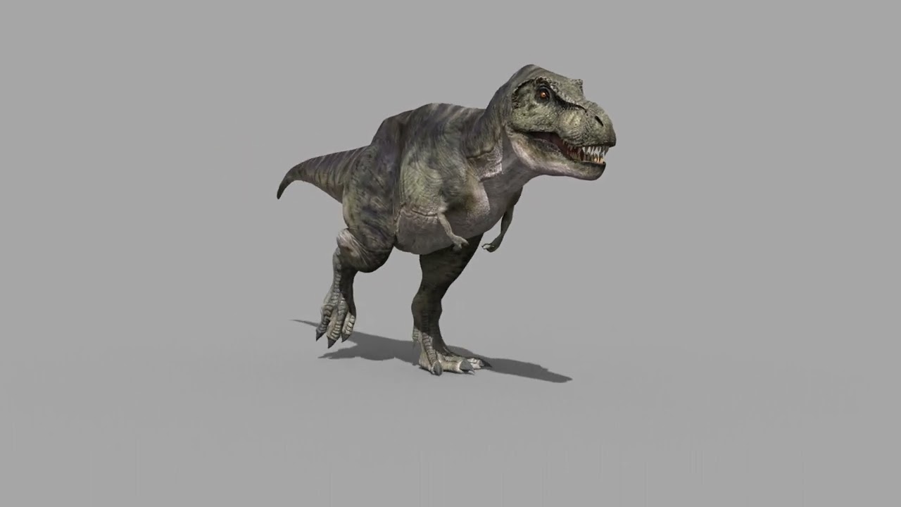 Accurate T Rex 8K - fully animated 3D Model