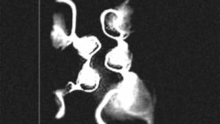 LAM13 - Belladonna (Nightshade)