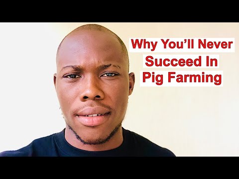 , title : 'Why Most Pig Farms Fail'