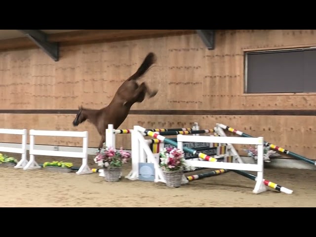 jumping