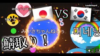 【Agar io】アガリオ！日本人VS韓国人の連携鯖制圧戦！【アガリオ】