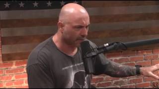 Joe Rogan on Jordan Peterson