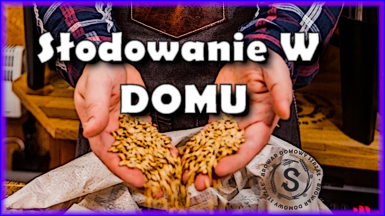 Słód za pół ceny? Jak zrobić słód w domu?