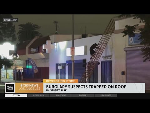 Suspect on Roof in Los Angeles