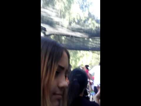 Tied up young chop molly g Califesto 2016