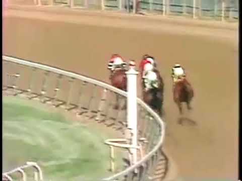 Affirmed wins the Belmont Stakes 1978