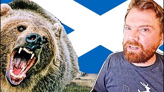 Are there BEARS in Scotland? 🐻