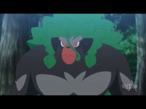 Rillaboom Pokédex Entry - A One Stick Wonder