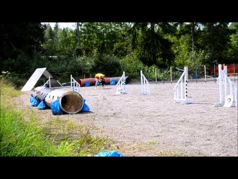 Qapra, Agility 2.8.2014 Sjundeå