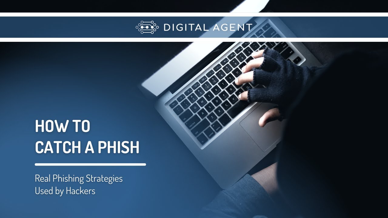 How to Catch a Phish | Phishing Case Studies